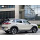 BYD Sea lion 05